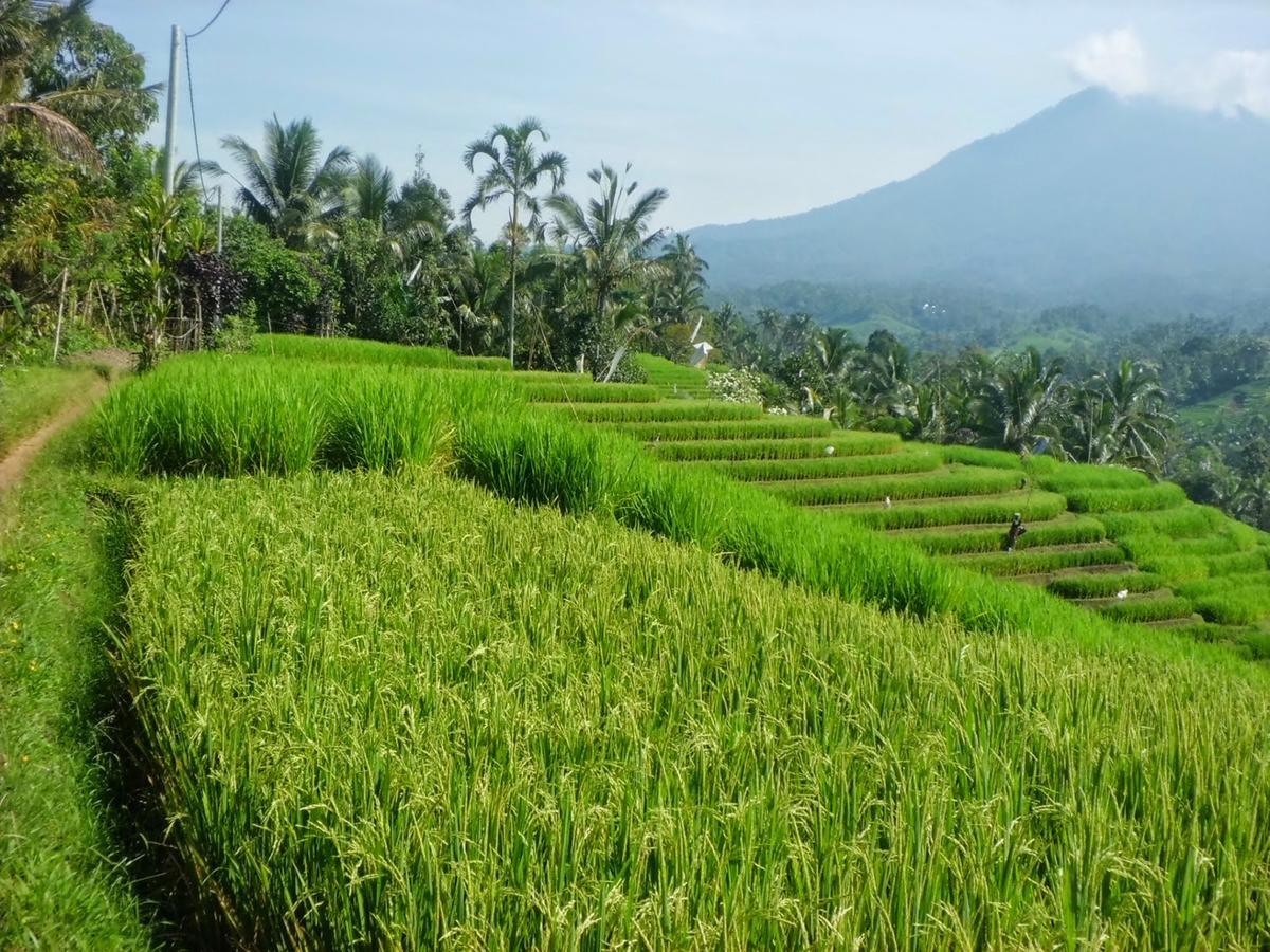 Zen Rooms Basic Kuta Kubu Anyar 외부 사진