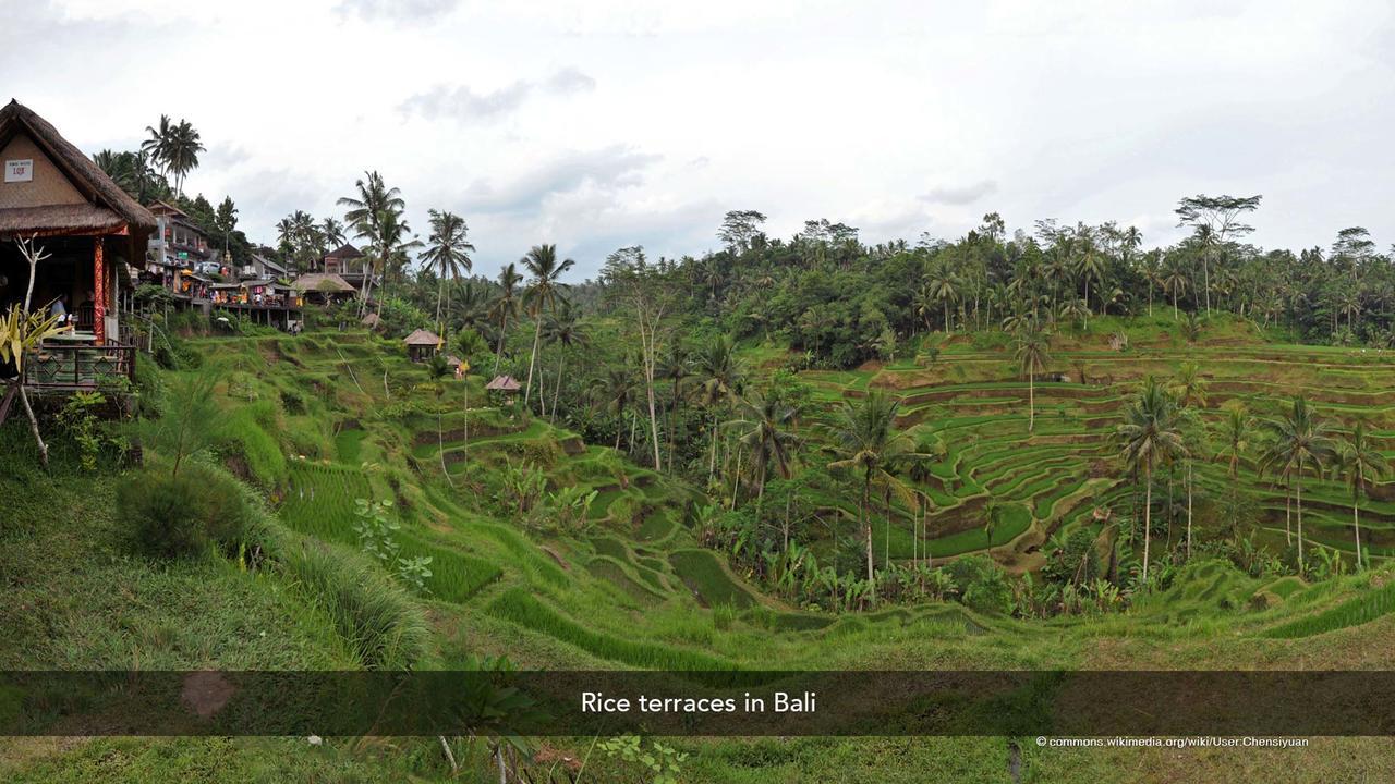 Zen Rooms Basic Kuta Kubu Anyar 외부 사진